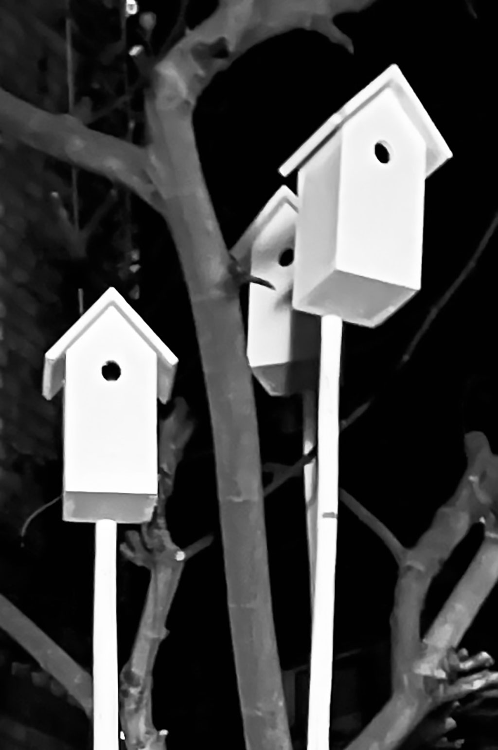 Udo W. Gottfried — Eine poetische Installation